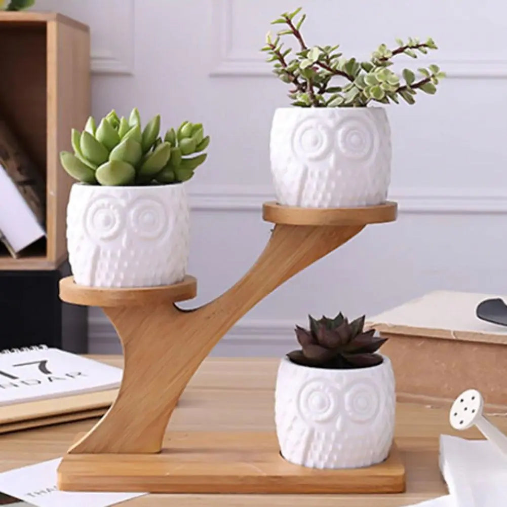 Succulent Owl Pots & Bamboo Shelf