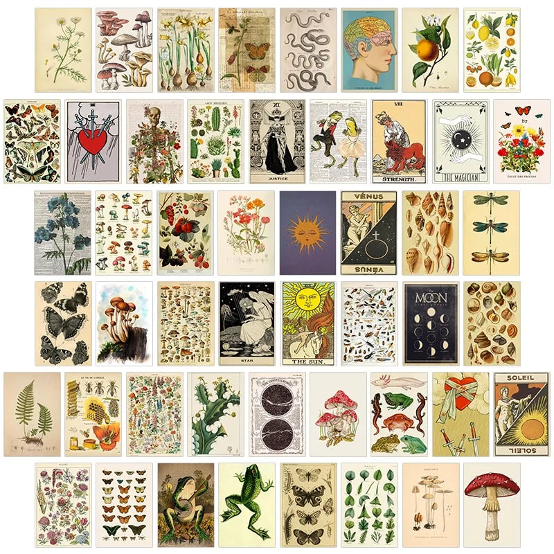 Vintage Botanical Aesthetic Wall Posters