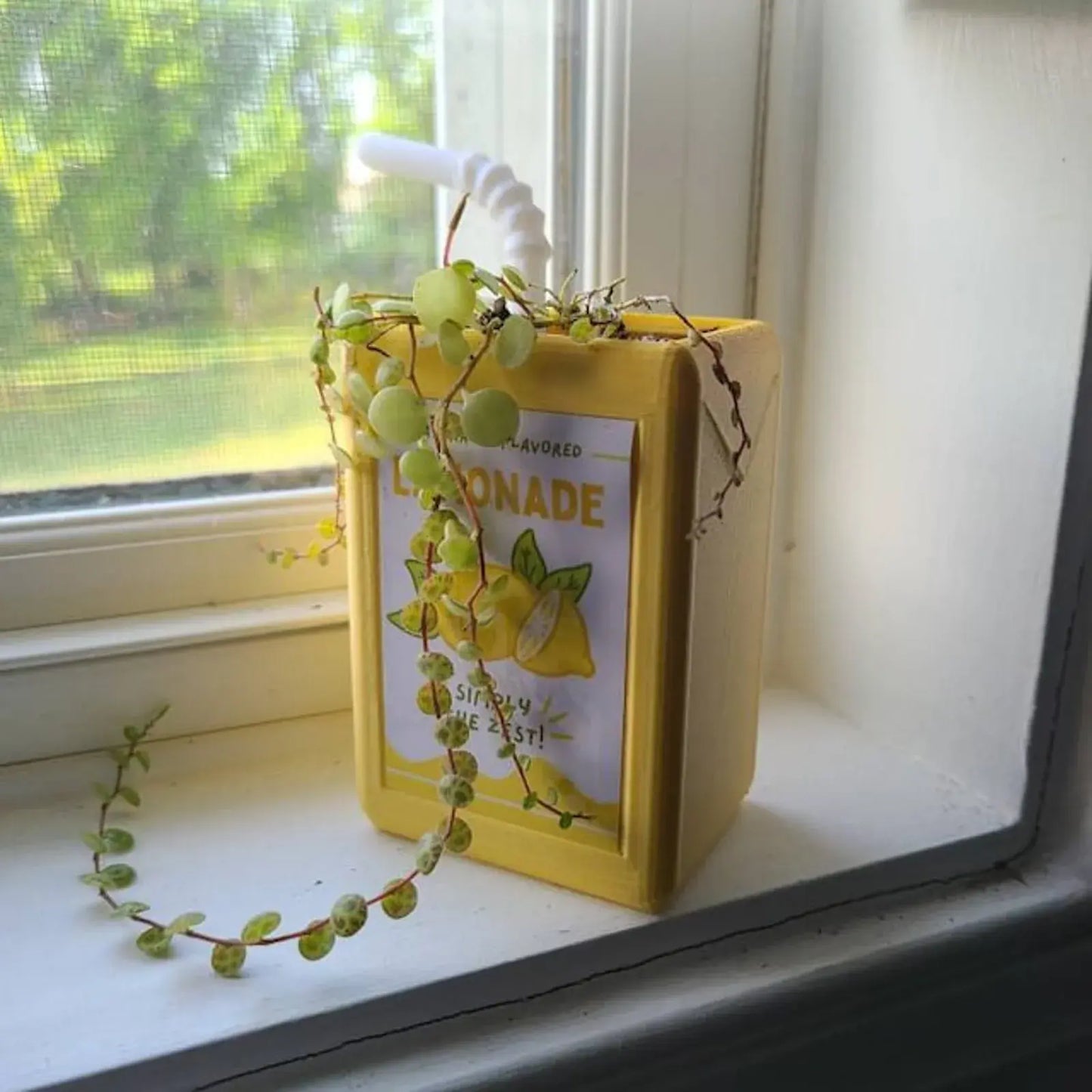 Juice Box-Shaped Flower Pot